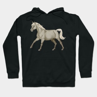 Palomino Arabian Canter Hoodie